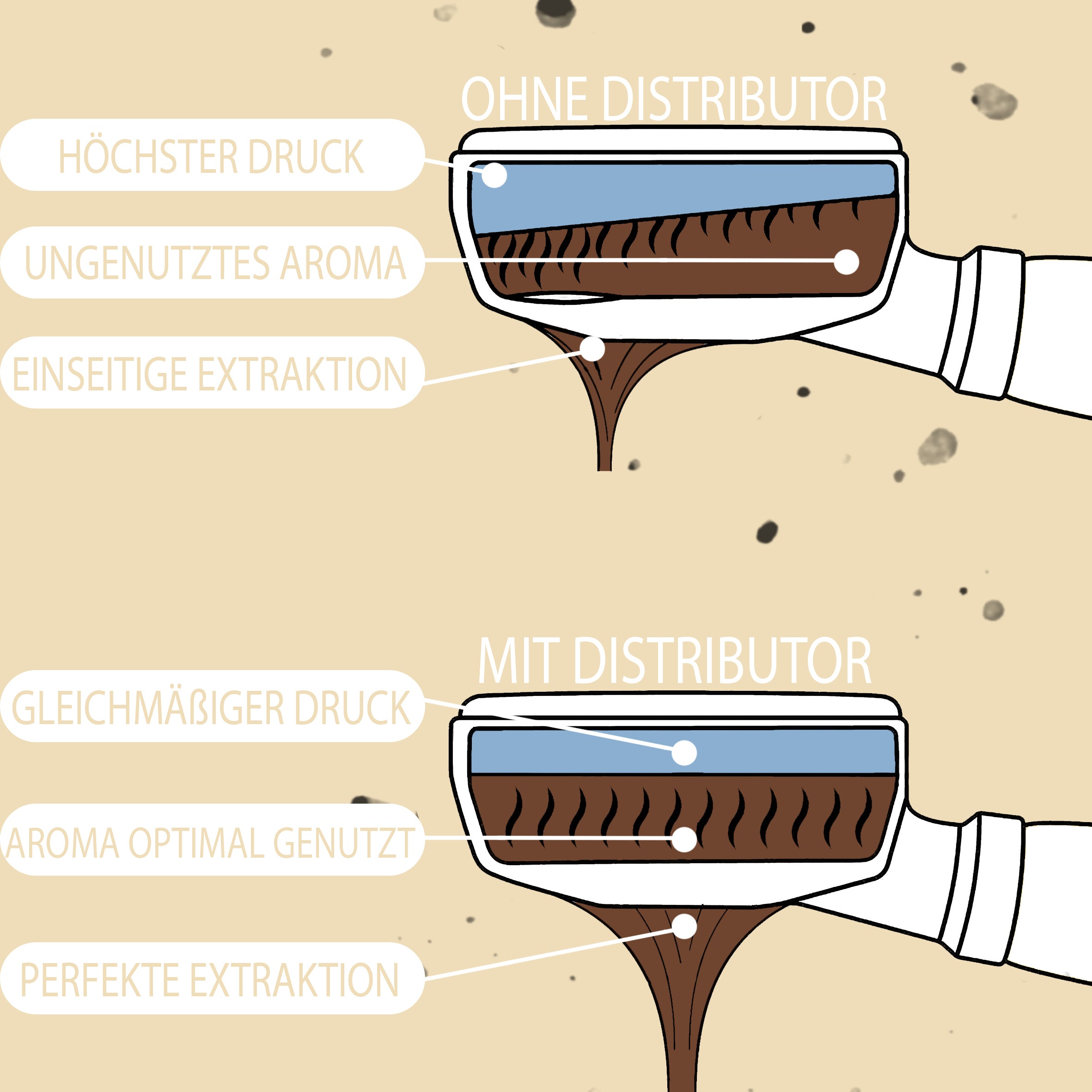Distributor 58mm & 58.5mm aus Eiche für perfekte Extraktion des Espressos