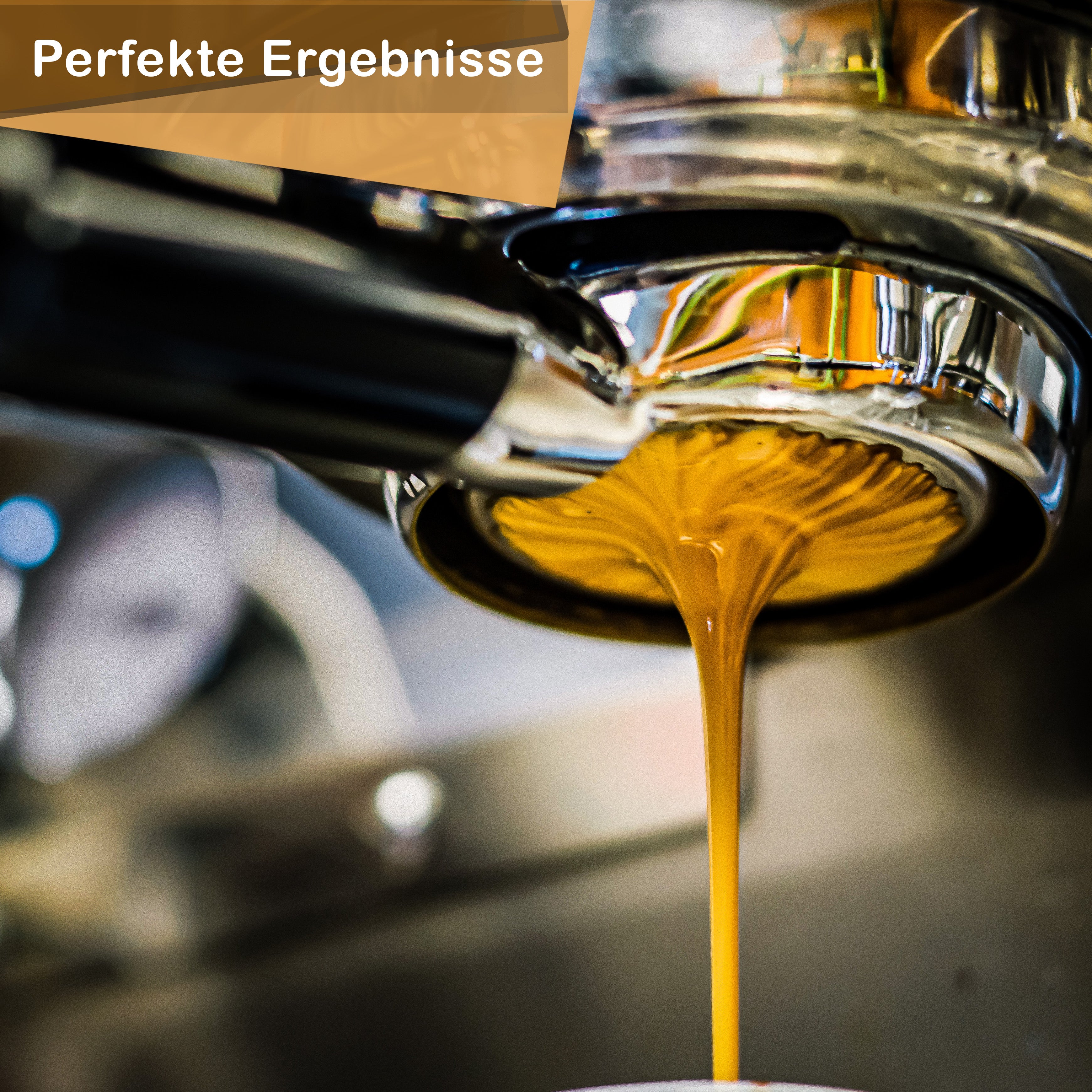 Distributor 58mm & 58.5mm aus Eiche für perfekte Extraktion des Espressos
